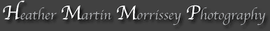 Heather Martin Morrissey Photography: